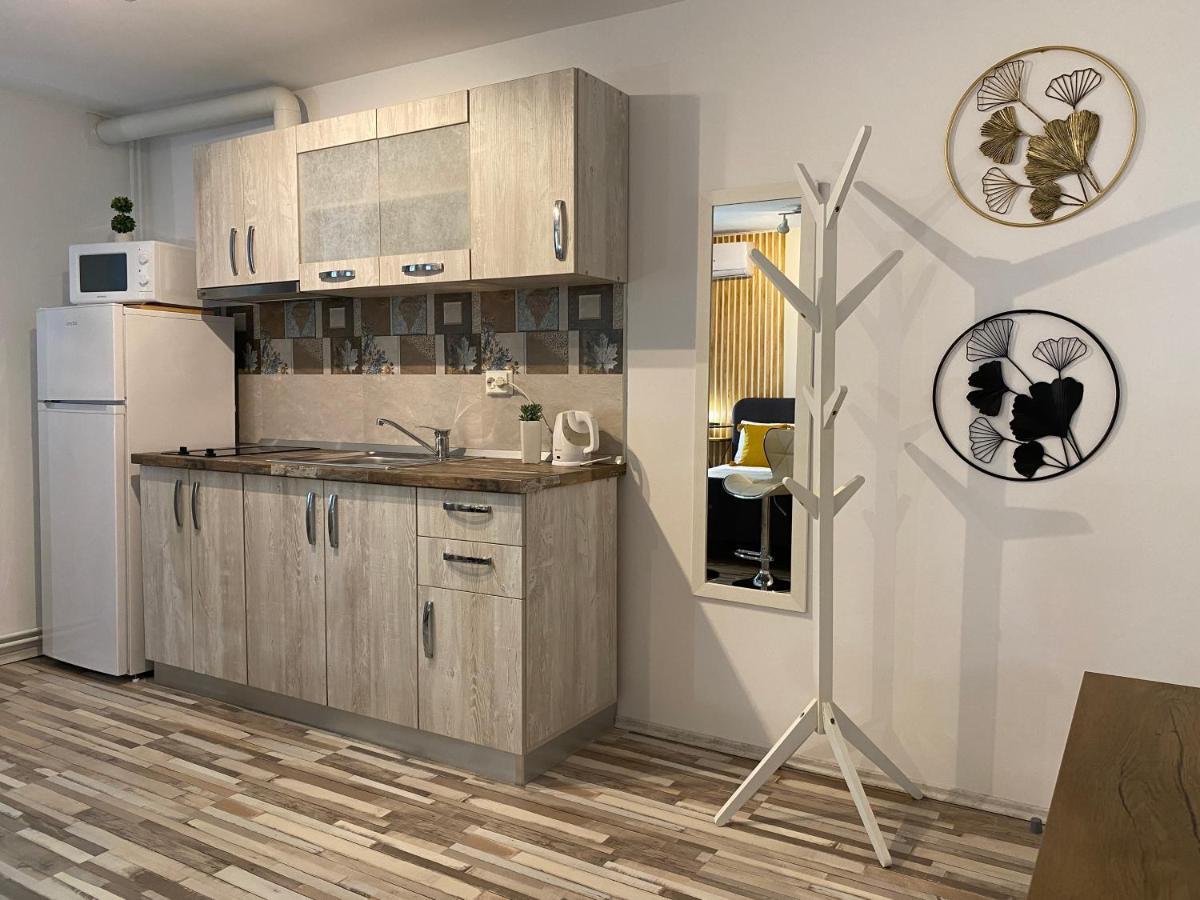 Urseni Studio Apartment Timisoara Luaran gambar